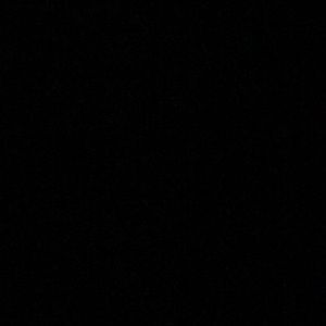 Meet your Posher, Sydnie